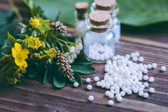 NEW RISE HOMOEOPATHY DISPENSARY